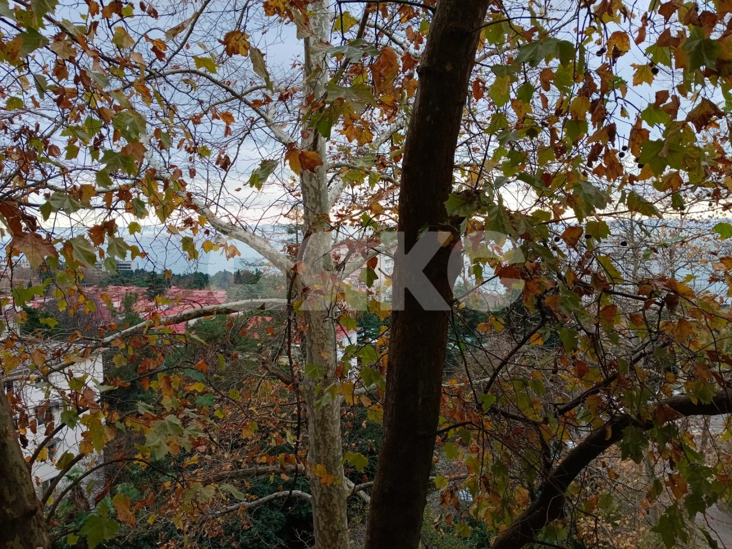 Фото №9: Студия 18 м² - Сочи, Хостинский, мкр. Бытха, ул. Бытха, 40