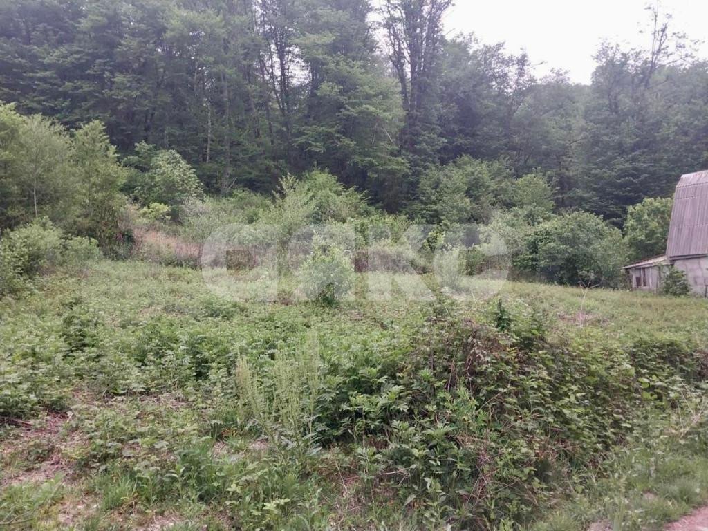 Фото №2: Участок садоводство 6 сот. - Пластунка, Хостинский, счт Северный