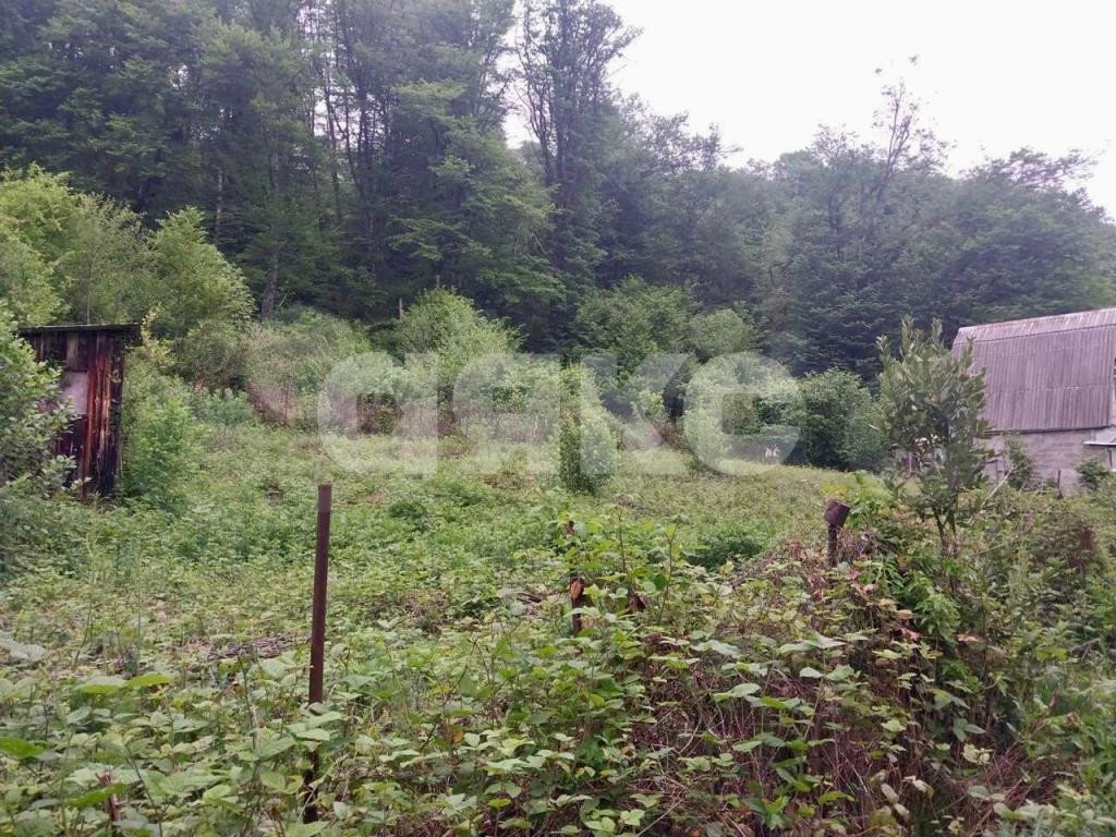 Фото №1: Участок садоводство 6 сот. - Пластунка, Хостинский, счт Северный