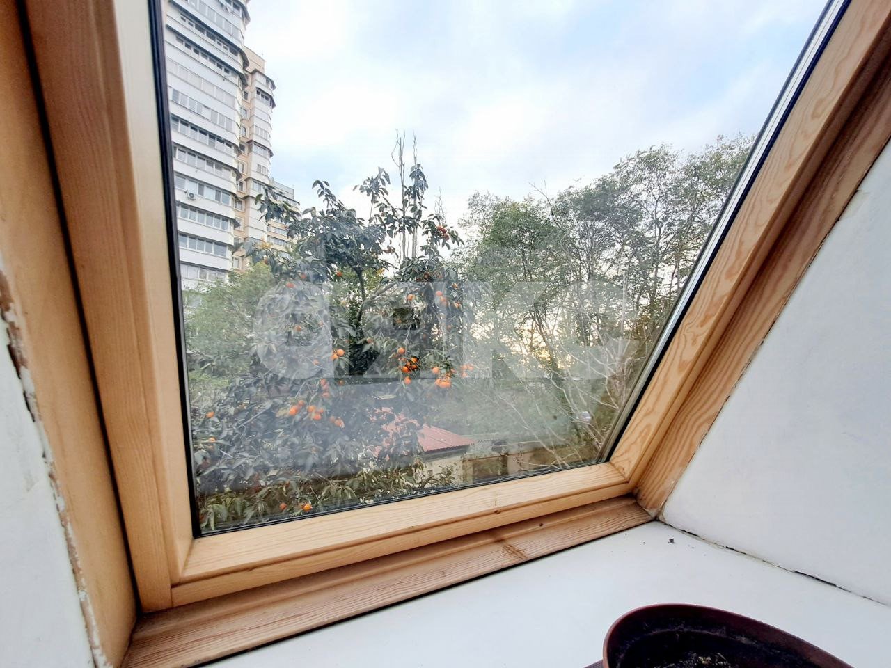 Фото №15: Студия 18 м² - Сочи, Адлерский, Адлер, мкр. Голубые Дали, ул. Ленина, 276