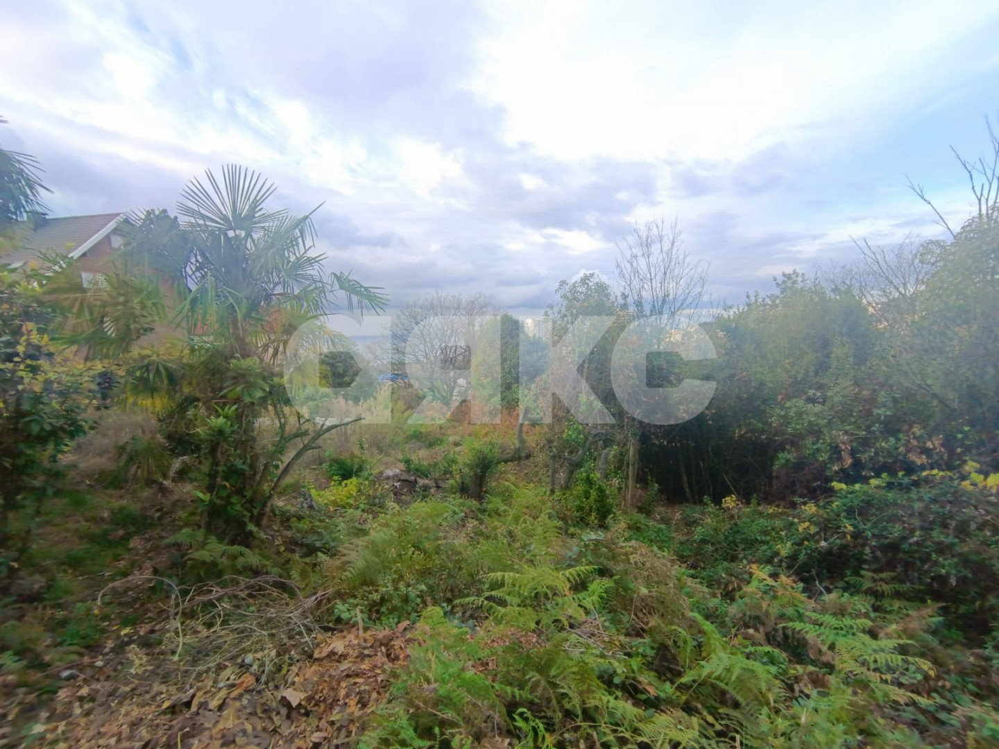 Фото №3: Дом 63 м² + 12 сот. - Сочи, Хостинский, мкр. Бытха, ул. Дивноморская