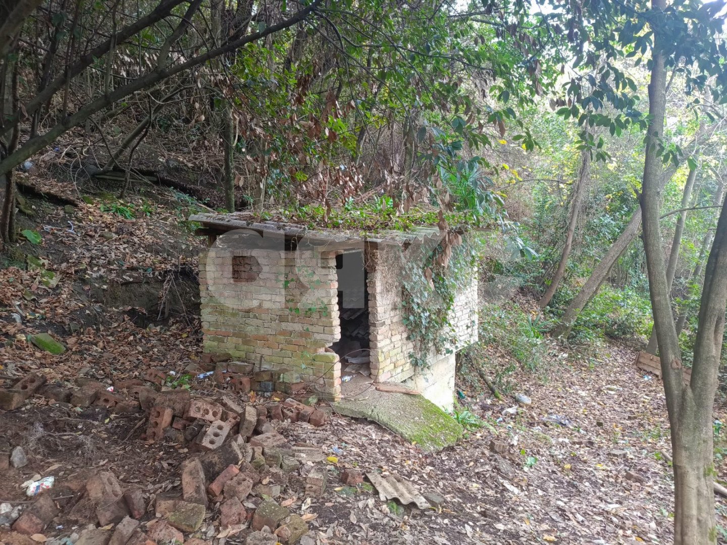 Фото №9: Дом 63 м² + 12 сот. - Сочи, Хостинский, мкр. Бытха, ул. Дивноморская