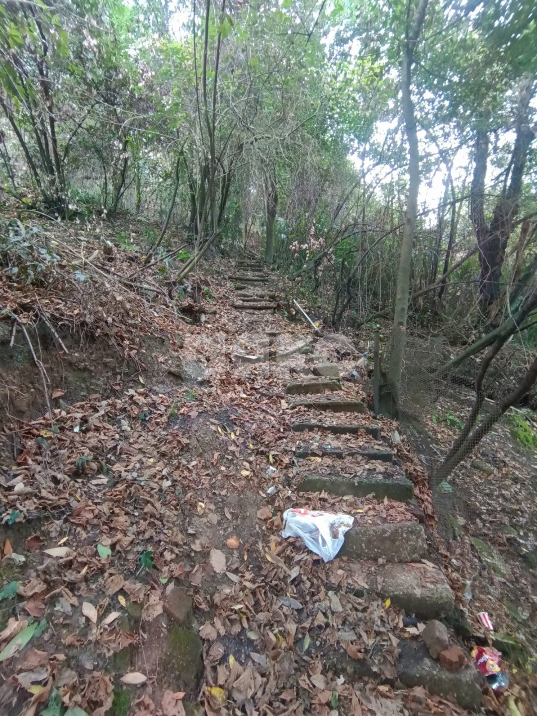 Фото №8: Дом 63 м² + 12 сот. - Сочи, Хостинский, мкр. Бытха, ул. Дивноморская