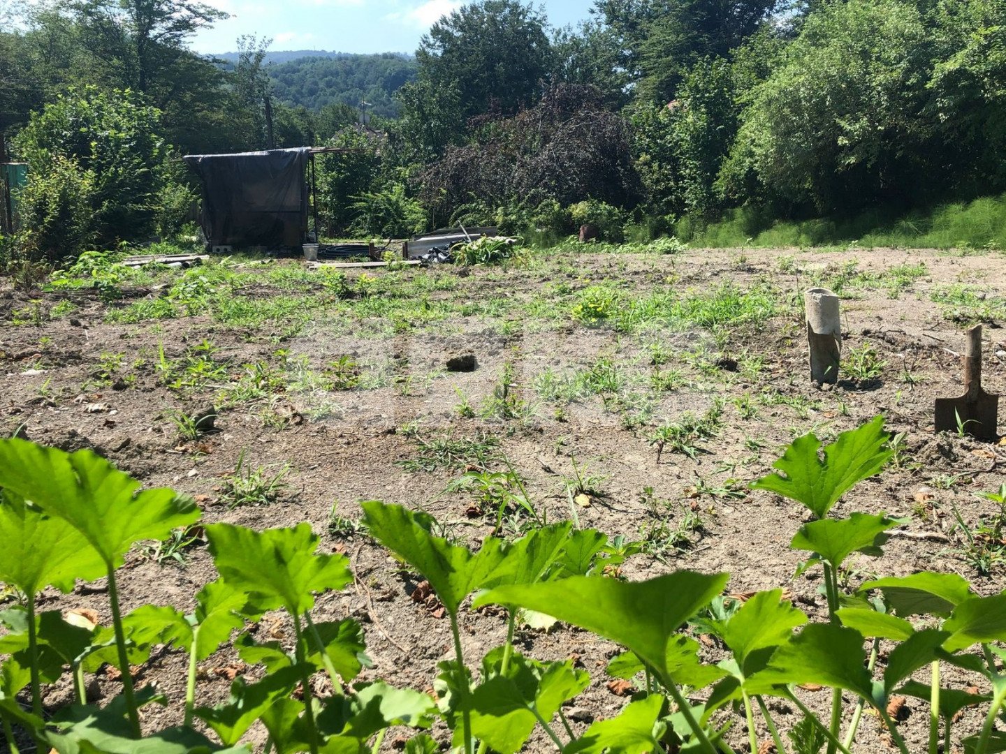 Фото №3: Участок садоводство 574 сот. - Пластунка, р. Хостинский