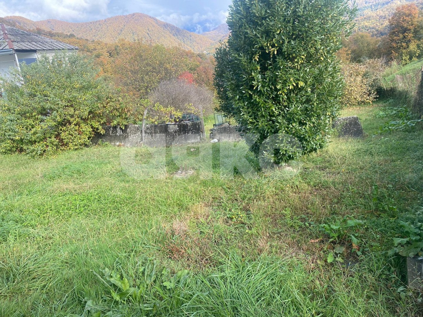 Фото №6: Личное подсобное хозяйство 6 сот. - Пластунка, р. Хостинский, ул. Джапаридзе, 49А