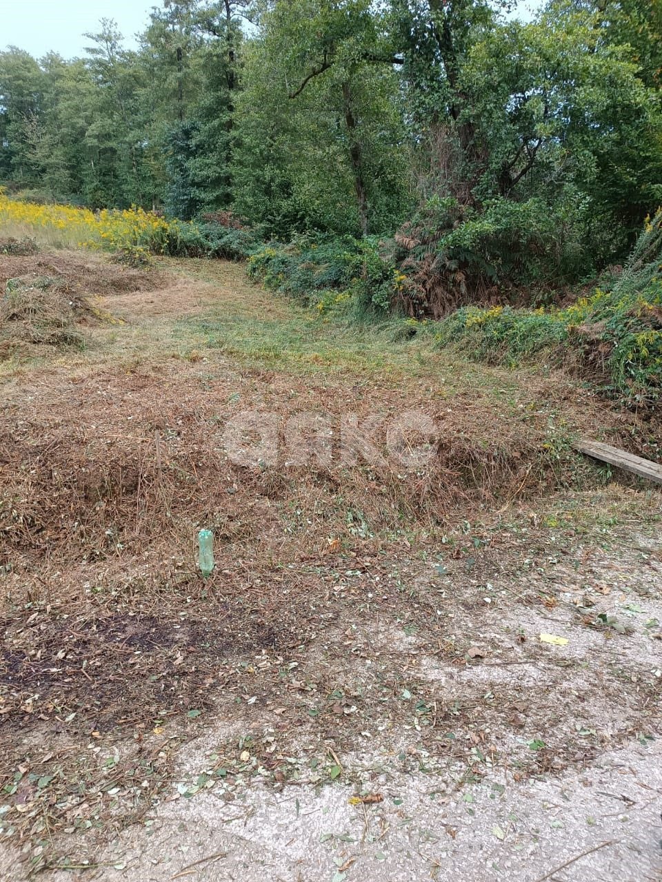 Фото №3: Личное подсобное хозяйство 4.85 сот. - Липники, р. Адлерский, ул. Липецкая, 43/9