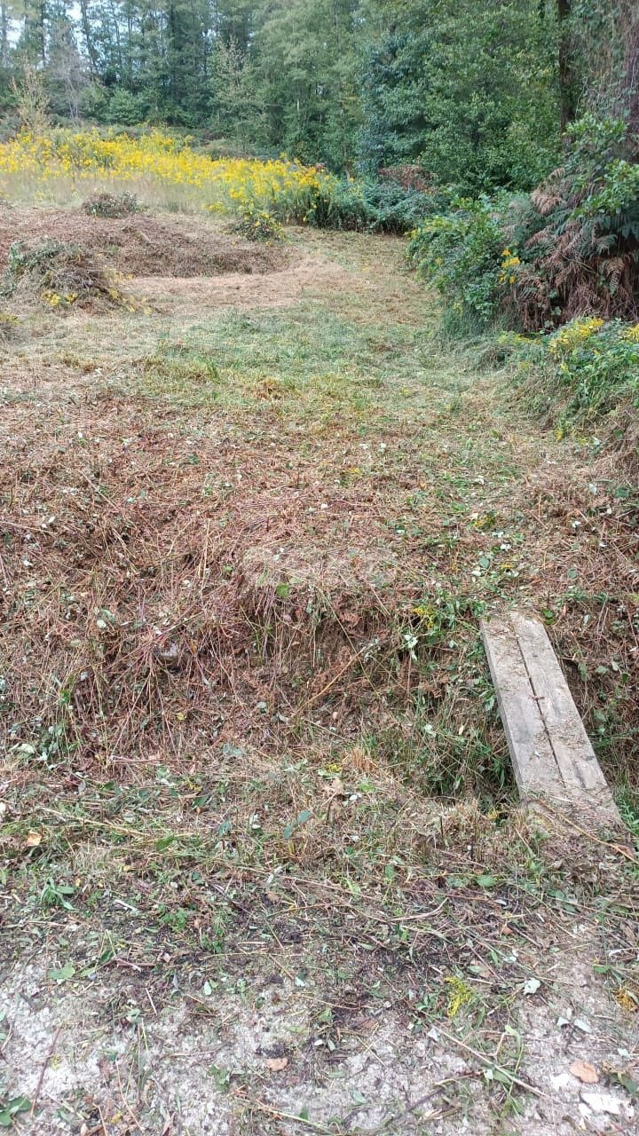 Фото №4: Личное подсобное хозяйство 4.85 сот. - Липники, р. Адлерский, ул. Липецкая, 43/9