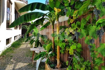 Фото №2: Дом 522 м² - Сочи, п. Вардане, ул. Львовская, 7Ж