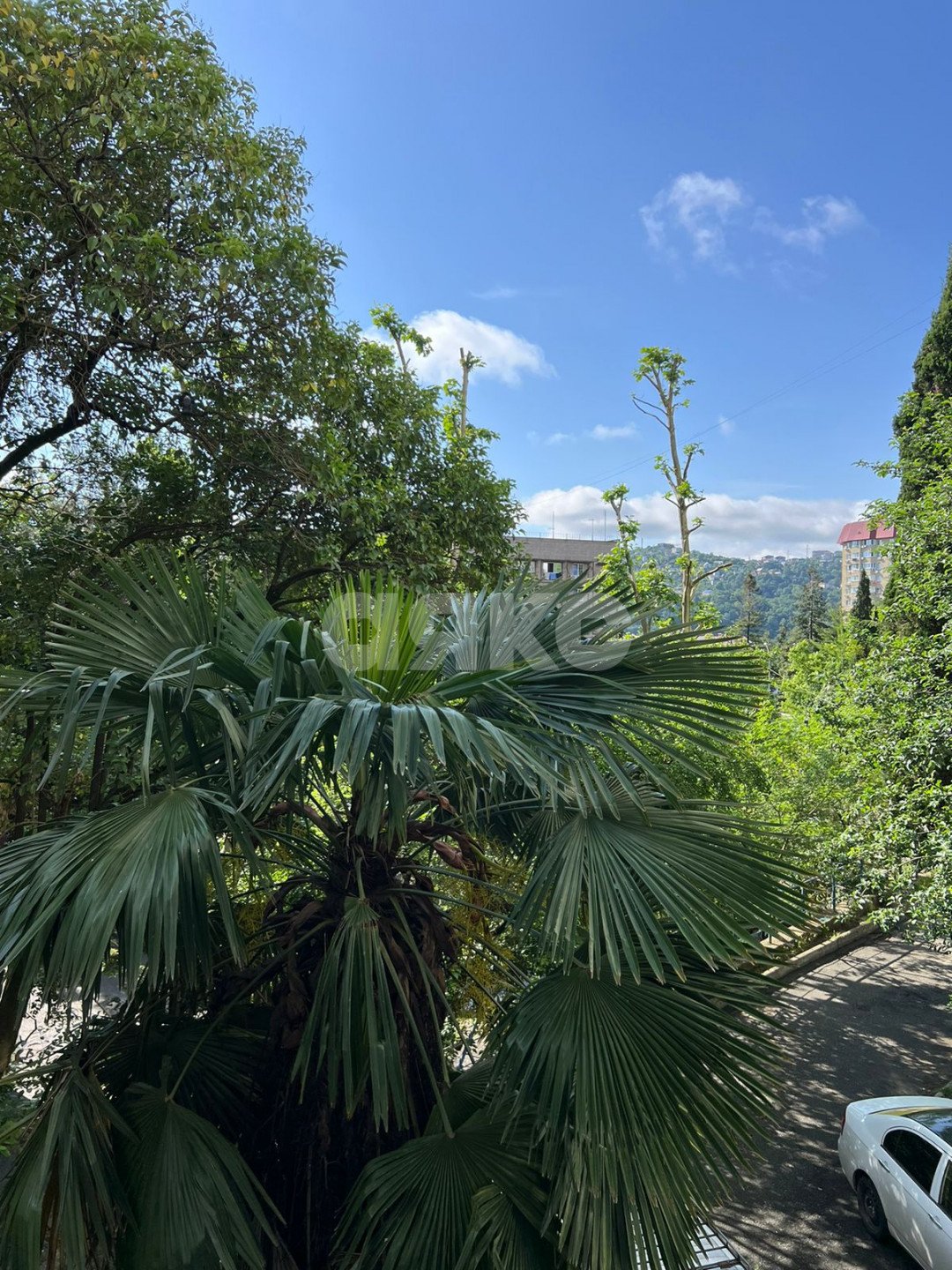 Фото №20: 3-комнатная квартира 72 м² - Сочи, Центральный, мкр. Заречный, ул. Абрикосовая, 18