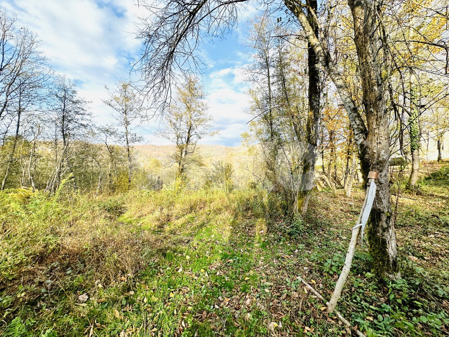 Фото №5: Участок садоводство 5.8 сот. - Вардане-Верино, Адлерский, счт Энергетик