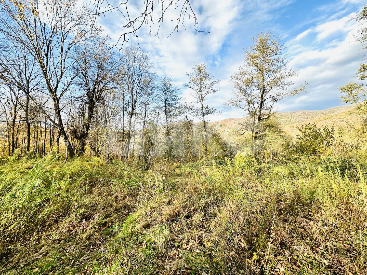 Фото №4: Участок садоводство 5.8 сот. - Вардане-Верино, Адлерский, счт Энергетик