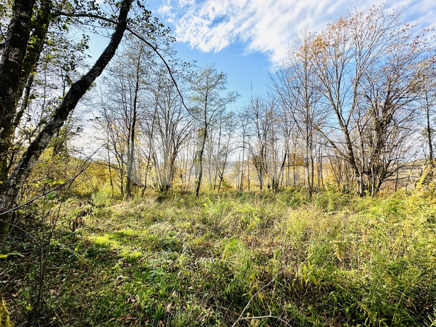 Фото №1: Участок садоводство 5.8 сот. - Вардане-Верино, Адлерский, счт Энергетик