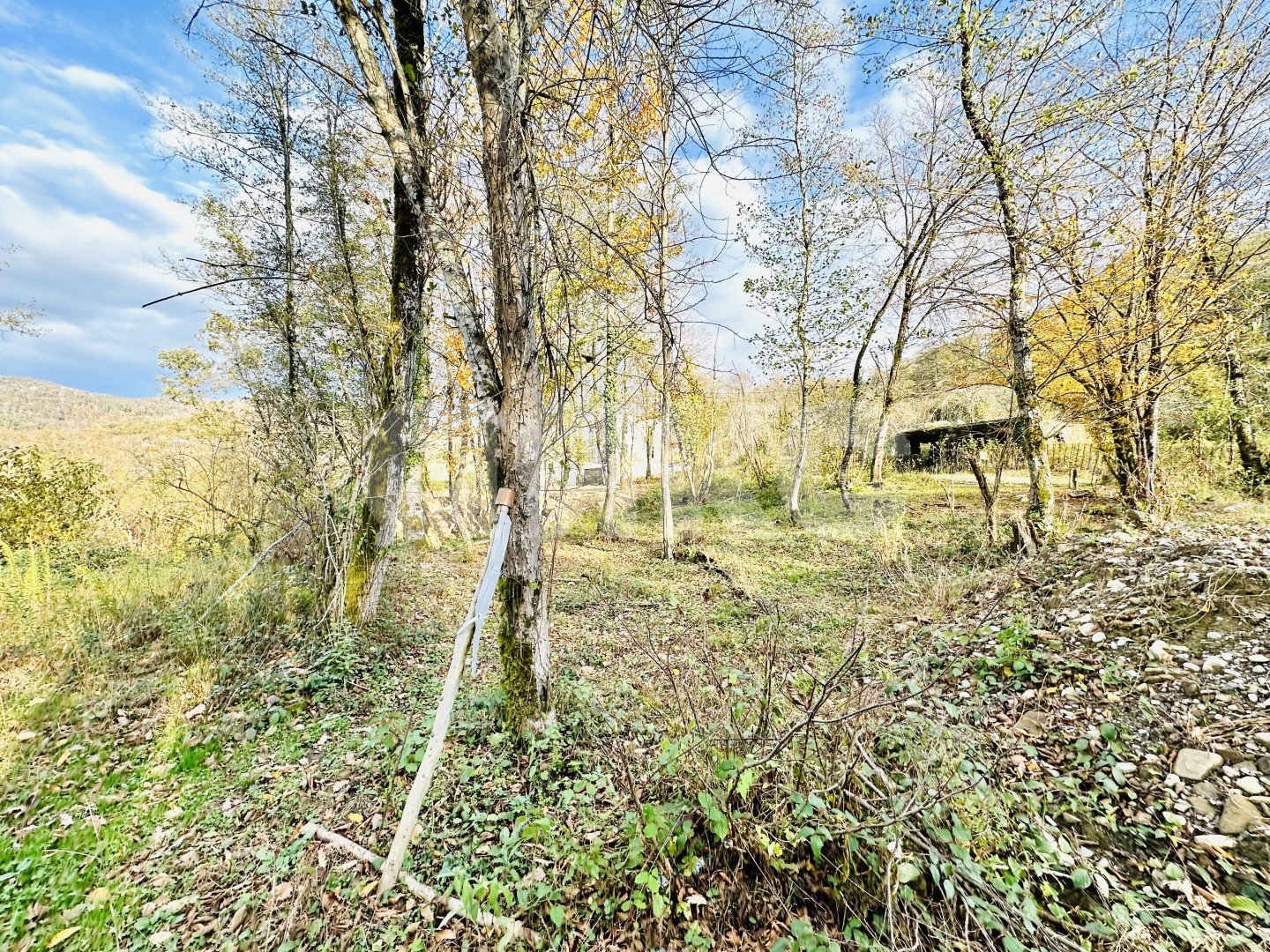 Фото №7: Участок садоводство 5.8 сот. - Вардане-Верино, Адлерский, счт Энергетик