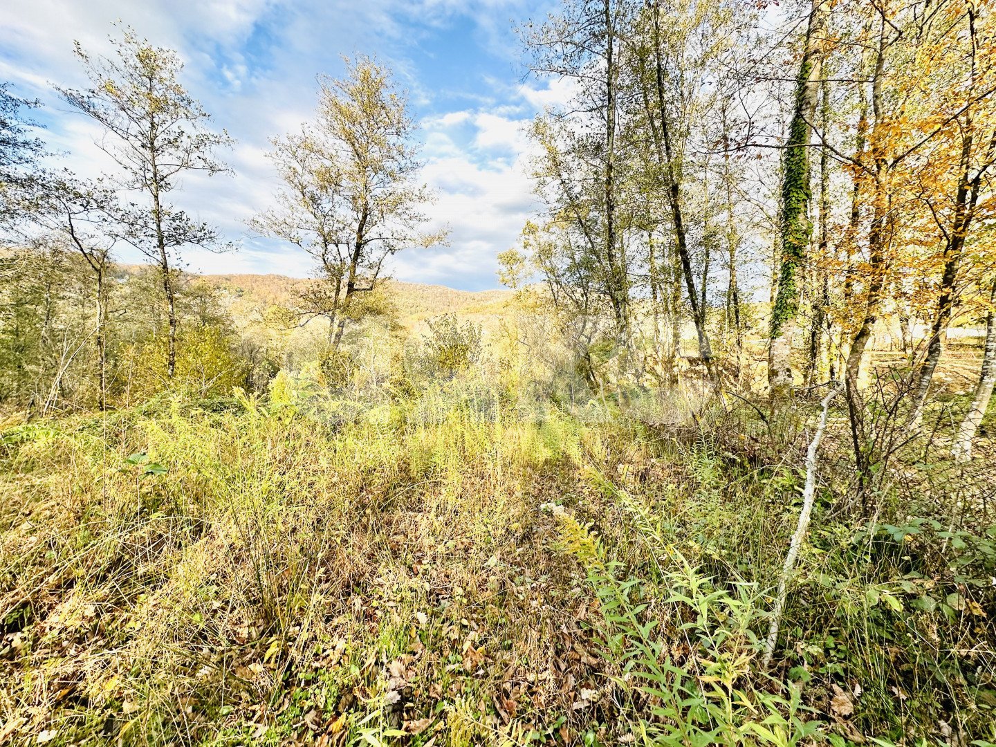 Фото №6: Участок садоводство 5.8 сот. - Вардане-Верино, Адлерский, счт Энергетик, 24