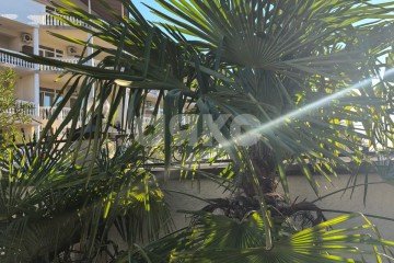 Фото №4: Студия 33 м² - Сочи, п. Нижняя Беранда, ул. Главная, 45