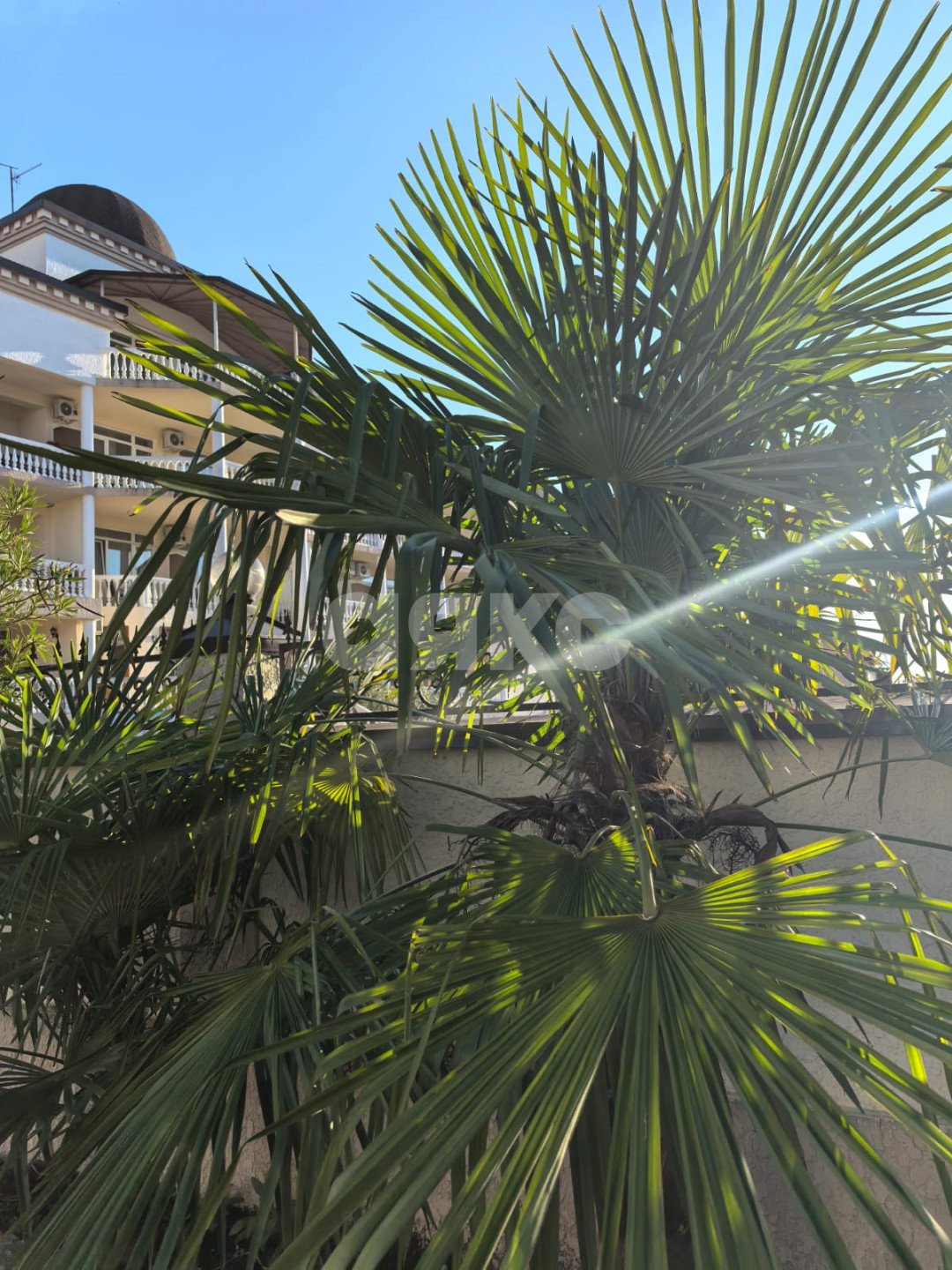 Фото №4: Студия 33 м² - Сочи, Лазаревский, п. Нижняя Беранда, ул. Главная, 45