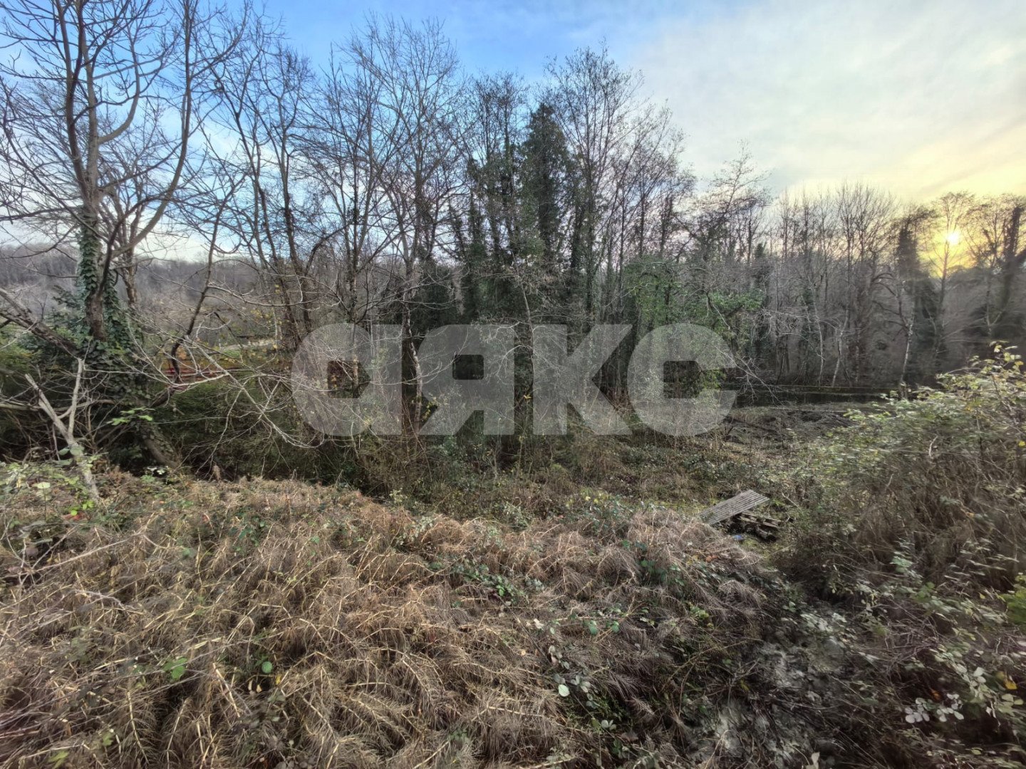 Фото №3: Личное подсобное хозяйство 11 сот. - Сочи, Лазаревский, мкр. Якорная Щель