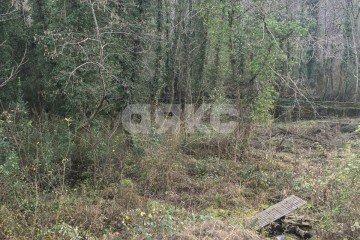 Фото №2: Личное подсобное хозяйство - Сочи, мкр. Якорная Щель, 