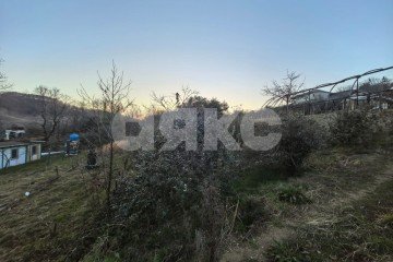 Фото №1: Личное подсобное хозяйство - Верхнеякорная Щель, р. Лазаревский, 