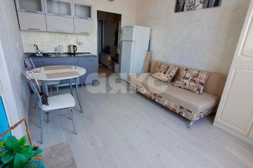 Фото №1: Студия 23 м² - Сочи, мкр. Мамайка, ул. Виноградная, 195/1