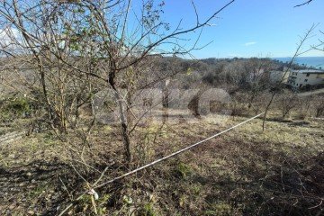 Фото №3: Земельный участок под ИЖС - Детляжка, р. Лазаревский, ул. Часовая