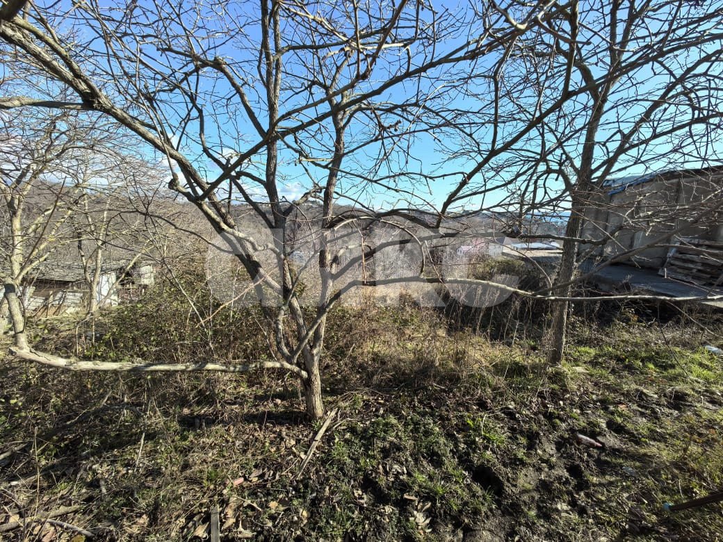 Фото №2: Земельный участок под ИЖС 6 сот. - Детляжка, р. Лазаревский, ул. Часовая