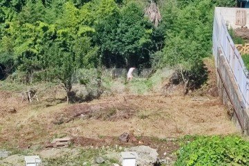 Фото №4: Участок садоводство - Сочи, мкр. Малый Ахун, ул. Дорога на Большой Ахун, 22