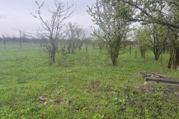 Фото №4: Земельный участок 7 сот. - Козет, мкр. СТ Яблонька, ул. Абрикосовая, 14