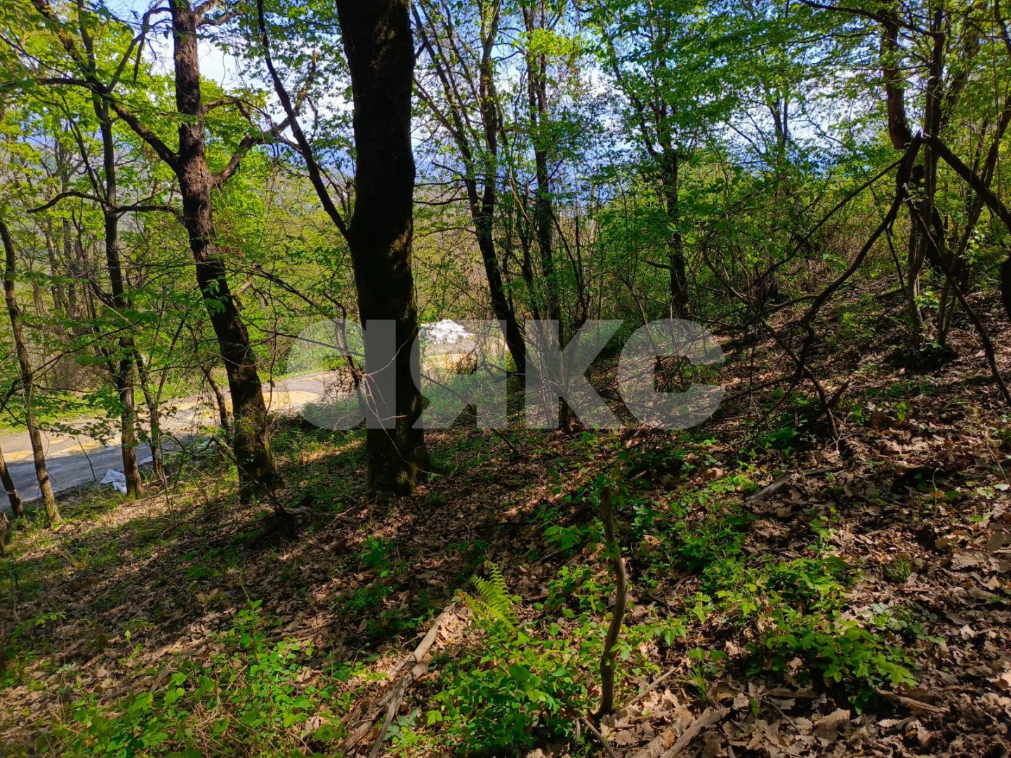 Фото №6: Личное подсобное хозяйство 6.7 сот. - Орёл-Изумруд, р. Адлерский, ул. 10 лет Октября