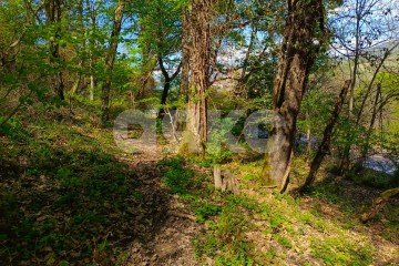 Фото №4: Личное подсобное хозяйство - Орёл-Изумруд, р. Адлерский, ул. 10 лет Октября