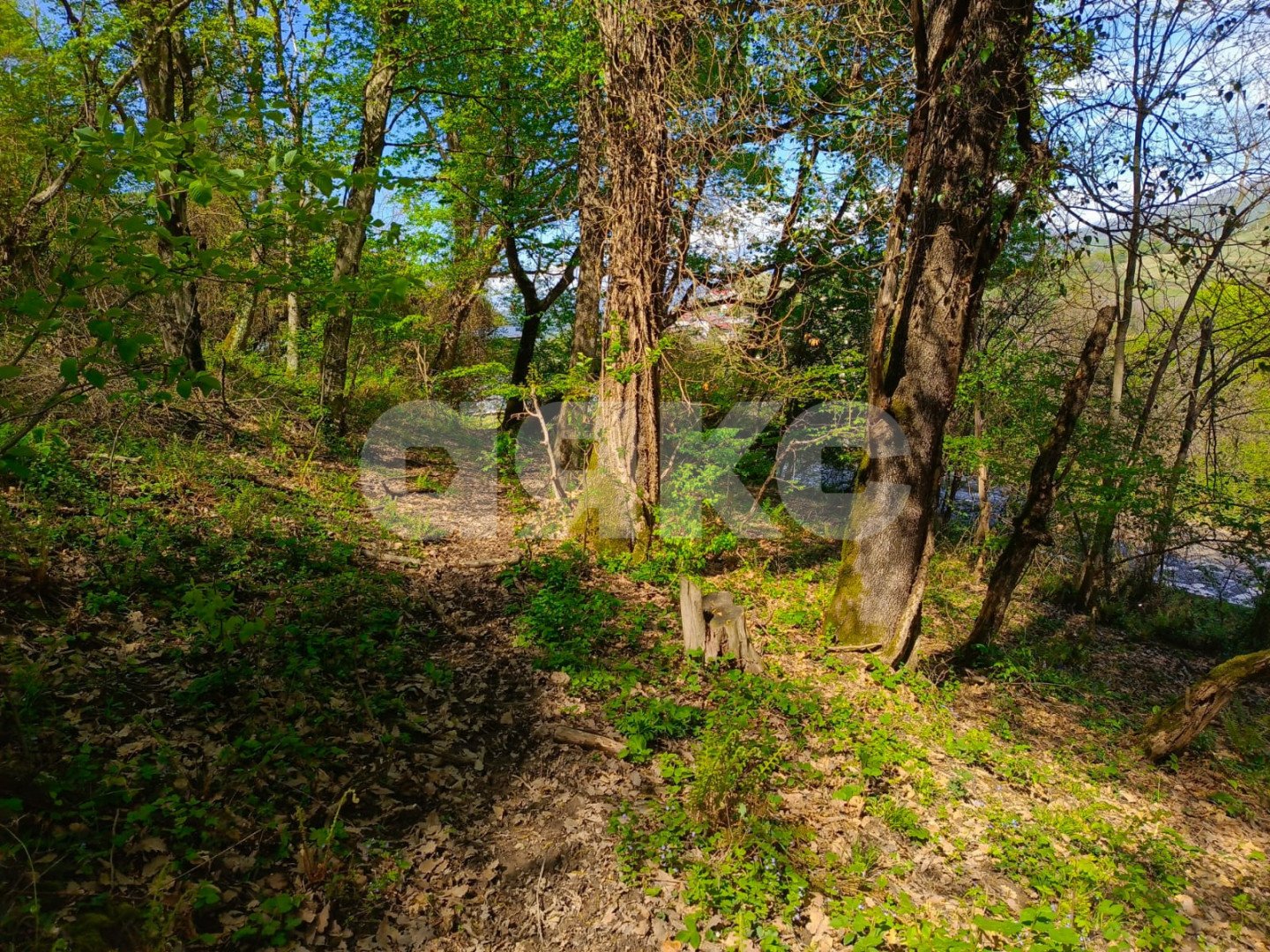 Фото №4: Личное подсобное хозяйство 6.7 сот. - Орёл-Изумруд, р. Адлерский, ул. 10 лет Октября