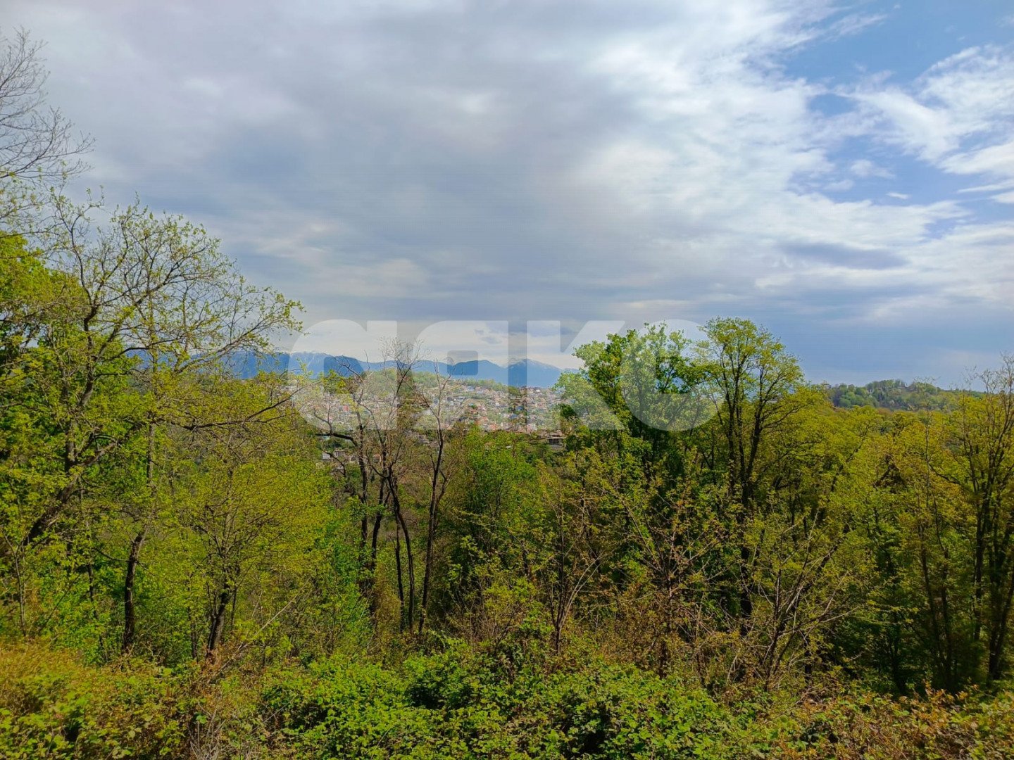 Фото №8: Личное подсобное хозяйство 6.7 сот. - Орёл-Изумруд, р. Адлерский, ул. 10 лет Октября