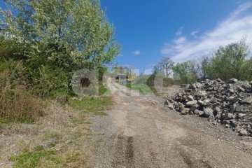 Фото №3: Личное подсобное хозяйство - Молдовка, р. Адлерский, 