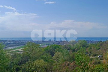 Фото №5: Личное подсобное хозяйство - Молдовка, р. Адлерский, 