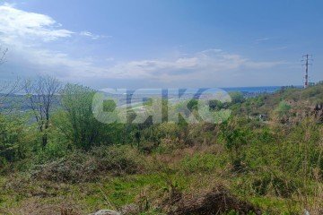 Фото №2: Личное подсобное хозяйство - Молдовка, р. Адлерский, 