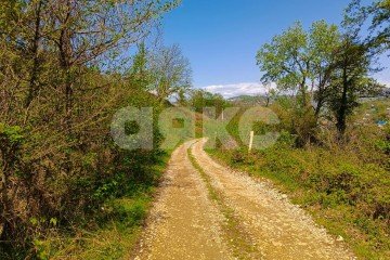 Фото №4: Личное подсобное хозяйство - Молдовка, р. Адлерский, 