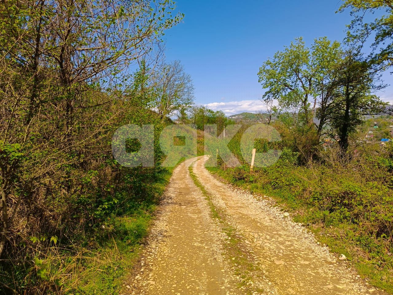 Фото №4: Личное подсобное хозяйство 8.93 сот. - Молдовка, р. Адлерский