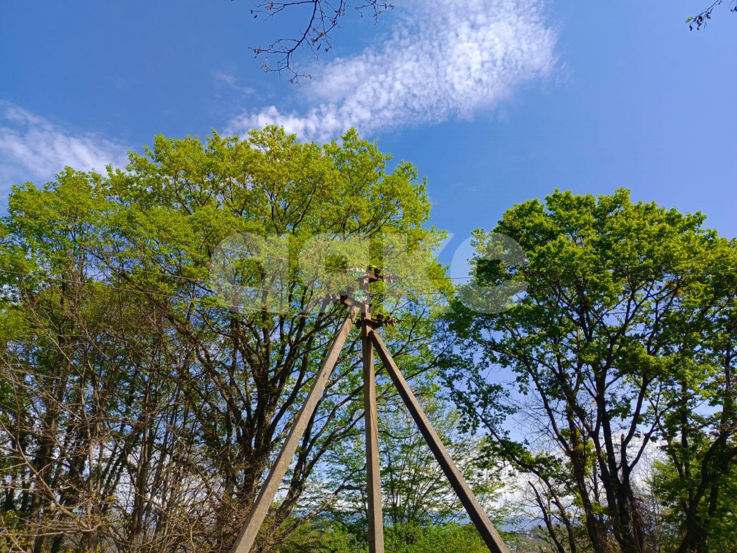 Фото №8: Личное подсобное хозяйство 9.5 сот. - Орёл-Изумруд, р. Адлерский, ул. 10 лет Октября
