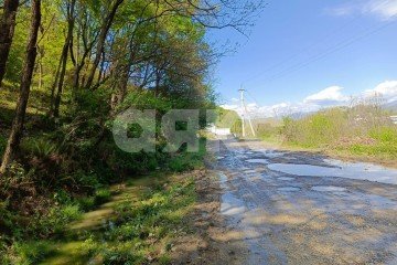 Фото №4: Личное подсобное хозяйство - Орёл-Изумруд, р. Адлерский, ул. 10 лет Октября