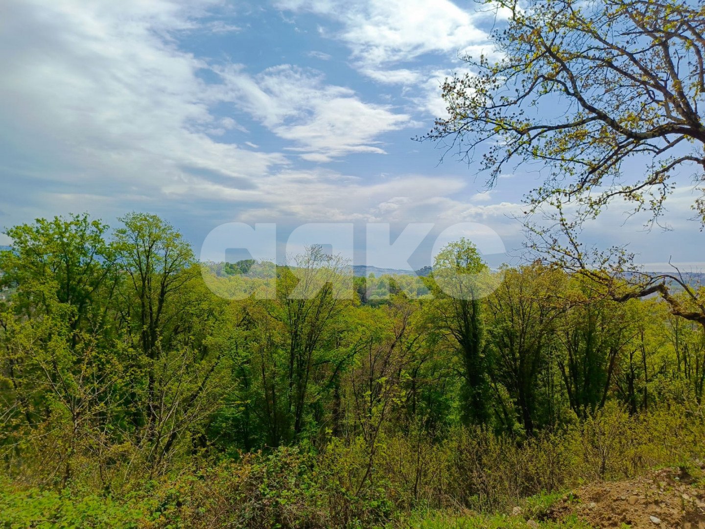 Фото №6: Личное подсобное хозяйство 9.5 сот. - Орёл-Изумруд, р. Адлерский, ул. 10 лет Октября