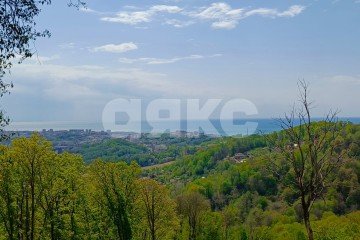 Фото №2: Личное подсобное хозяйство - Орёл-Изумруд, р. Адлерский, ул. 10 лет Октября