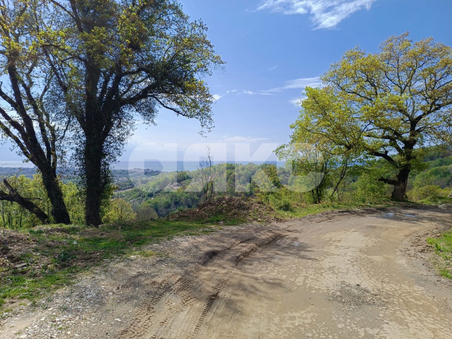 Фото №4: Личное подсобное хозяйство 10 сот. - Орёл-Изумруд, р. Адлерский