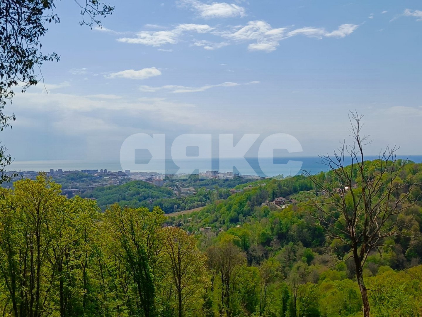 Фото №7: Личное подсобное хозяйство 10 сот. - Орёл-Изумруд, р. Адлерский