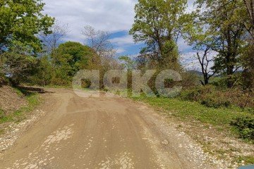 Фото №3: Личное подсобное хозяйство - Орёл-Изумруд, р. Адлерский, 