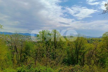 Фото №5: Личное подсобное хозяйство - Орёл-Изумруд, р. Адлерский, 