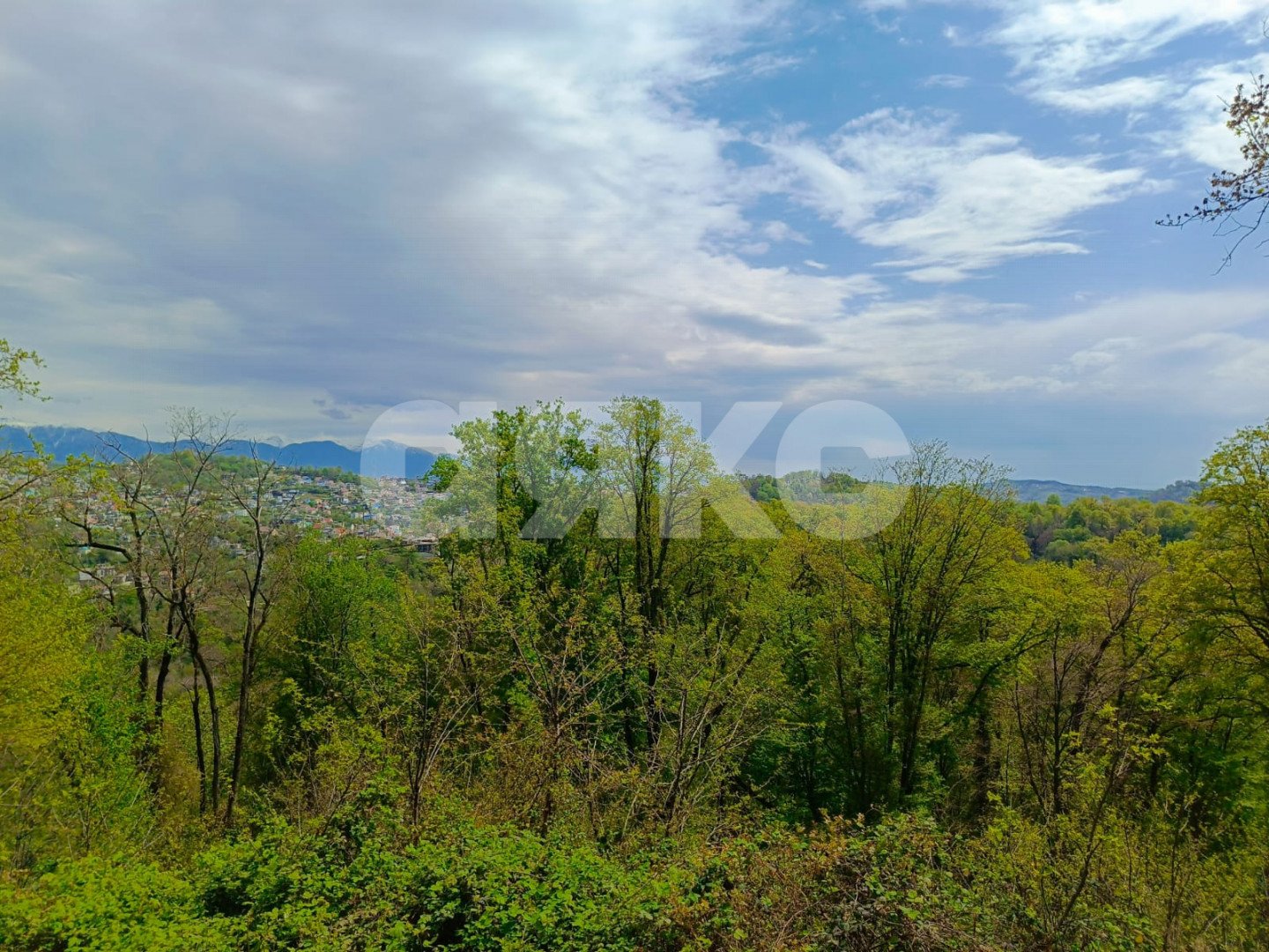 Фото №5: Личное подсобное хозяйство 10 сот. - Орёл-Изумруд, р. Адлерский