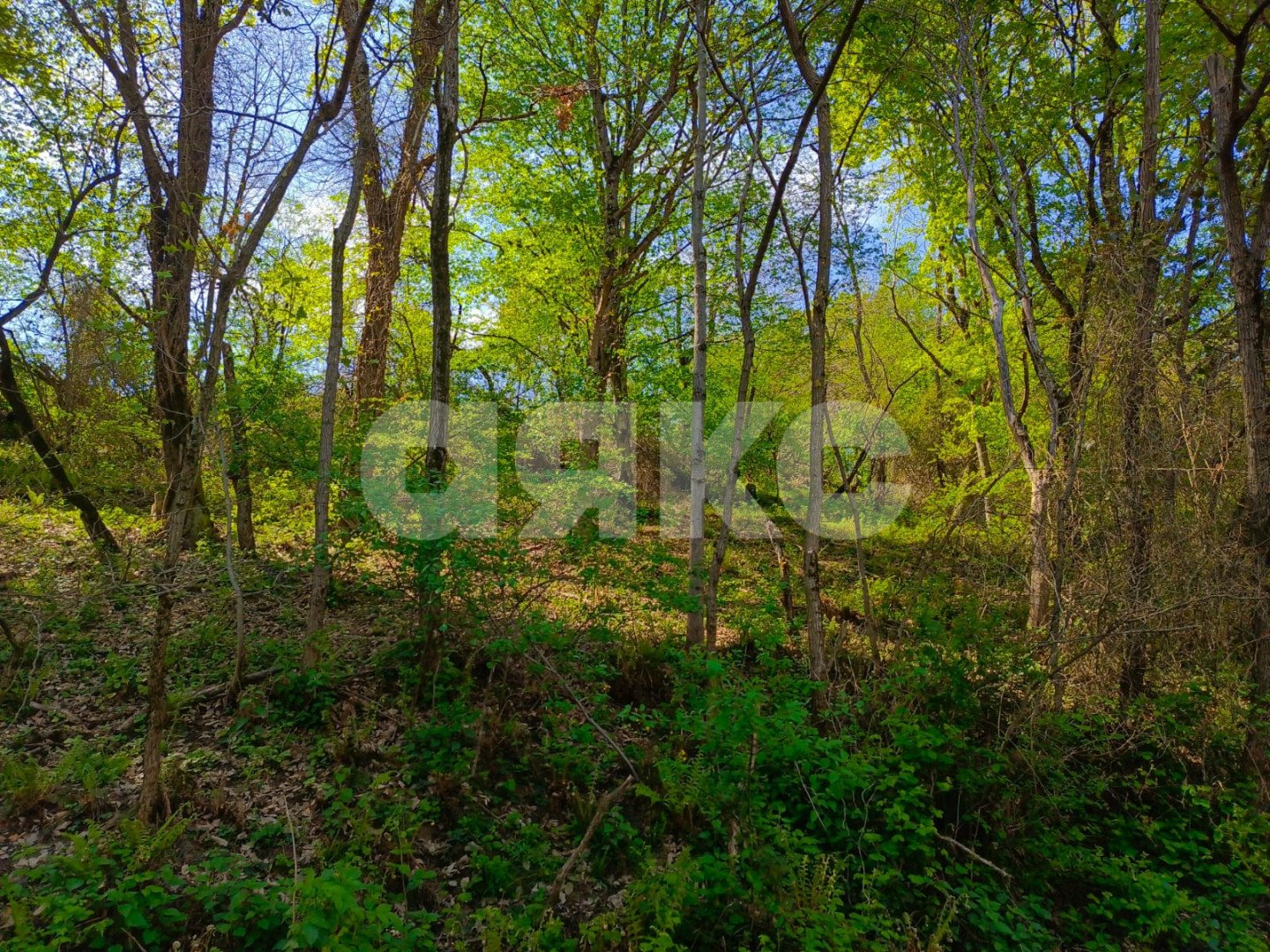 Фото №3: Личное подсобное хозяйство 8.7 сот. - Орёл-Изумруд, р. Адлерский, ул. 10 лет Октября