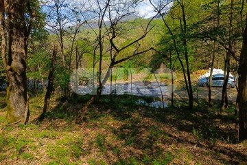 Фото №4: Личное подсобное хозяйство - Орёл-Изумруд, р. Адлерский, ул. 10 лет Октября