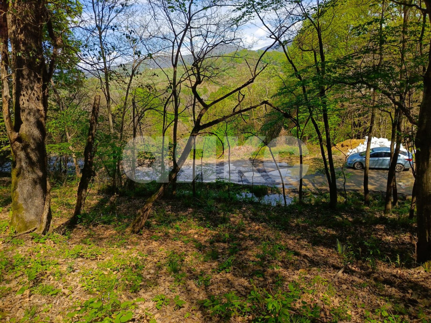 Фото №4: Личное подсобное хозяйство 8.7 сот. - Орёл-Изумруд, р. Адлерский, ул. 10 лет Октября