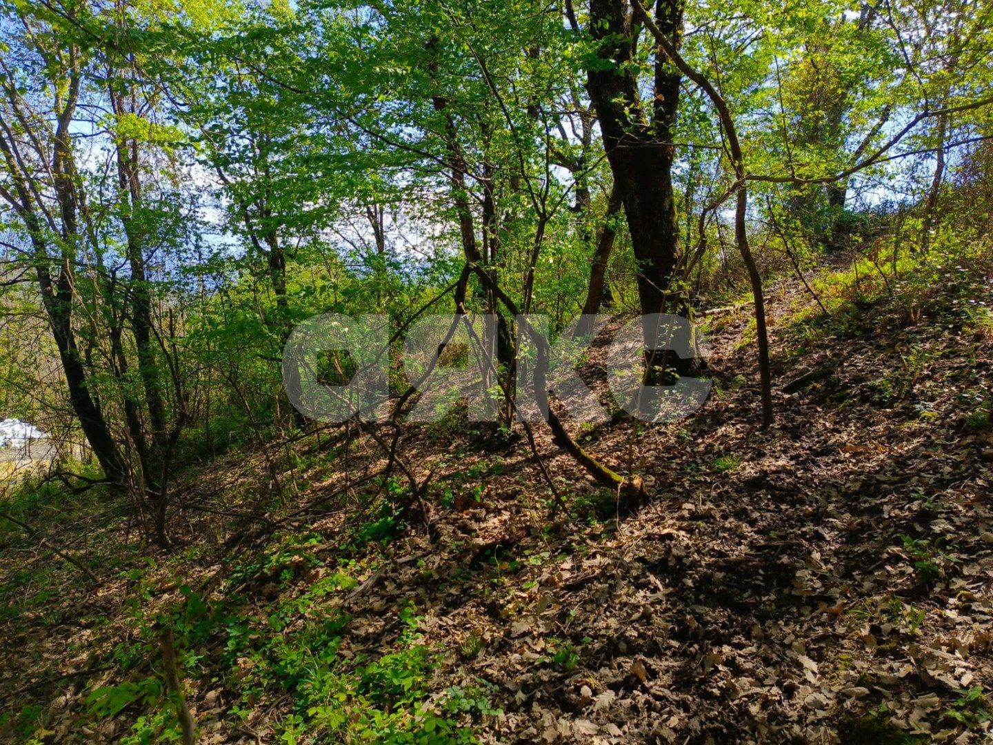 Фото №8: Личное подсобное хозяйство 8.7 сот. - Орёл-Изумруд, р. Адлерский, ул. 10 лет Октября